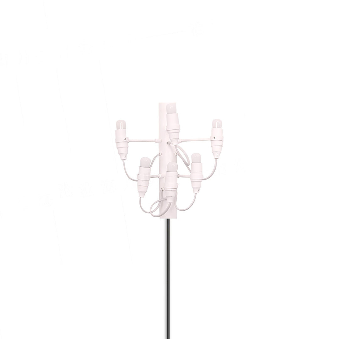 Fruit Plug-in Bracket light Wall Lamp